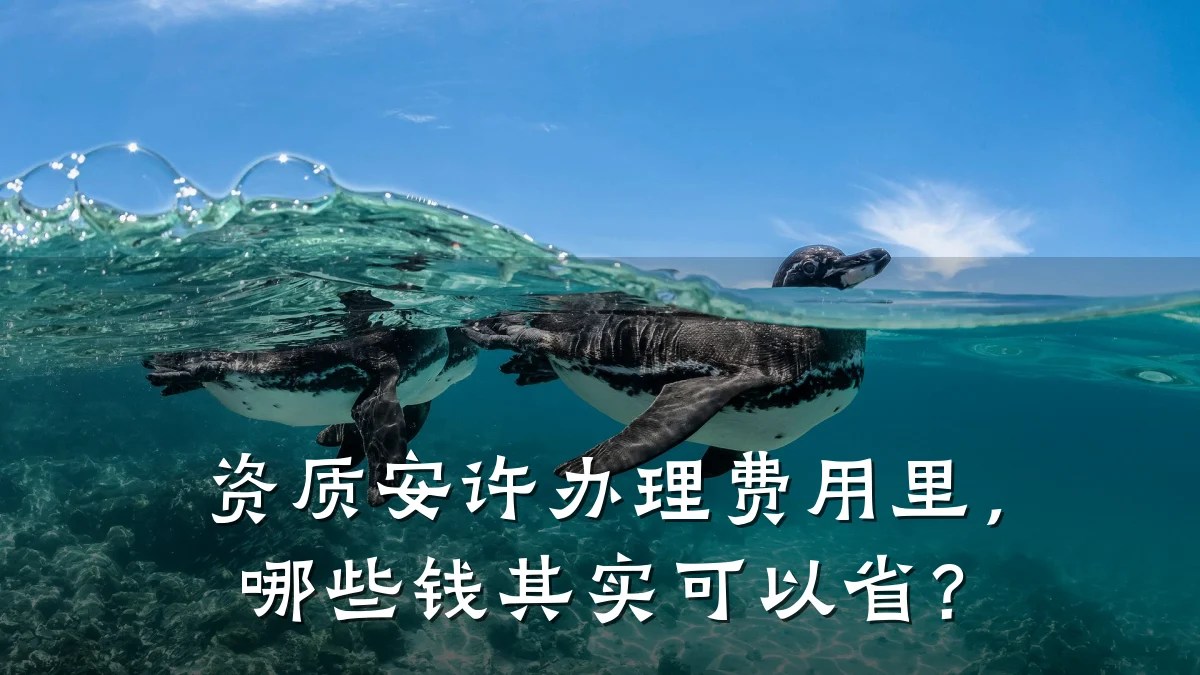 资质安许办理费用里,哪些钱其实可以省?