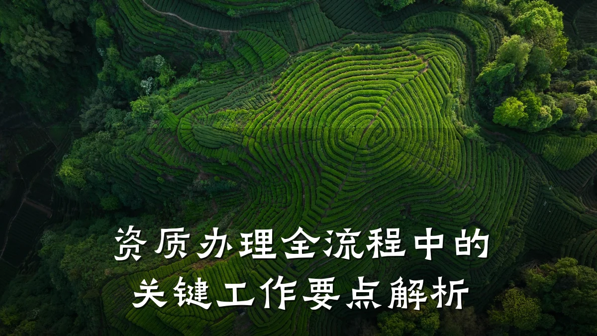 资质办理全流程中的关键工作要点解析
