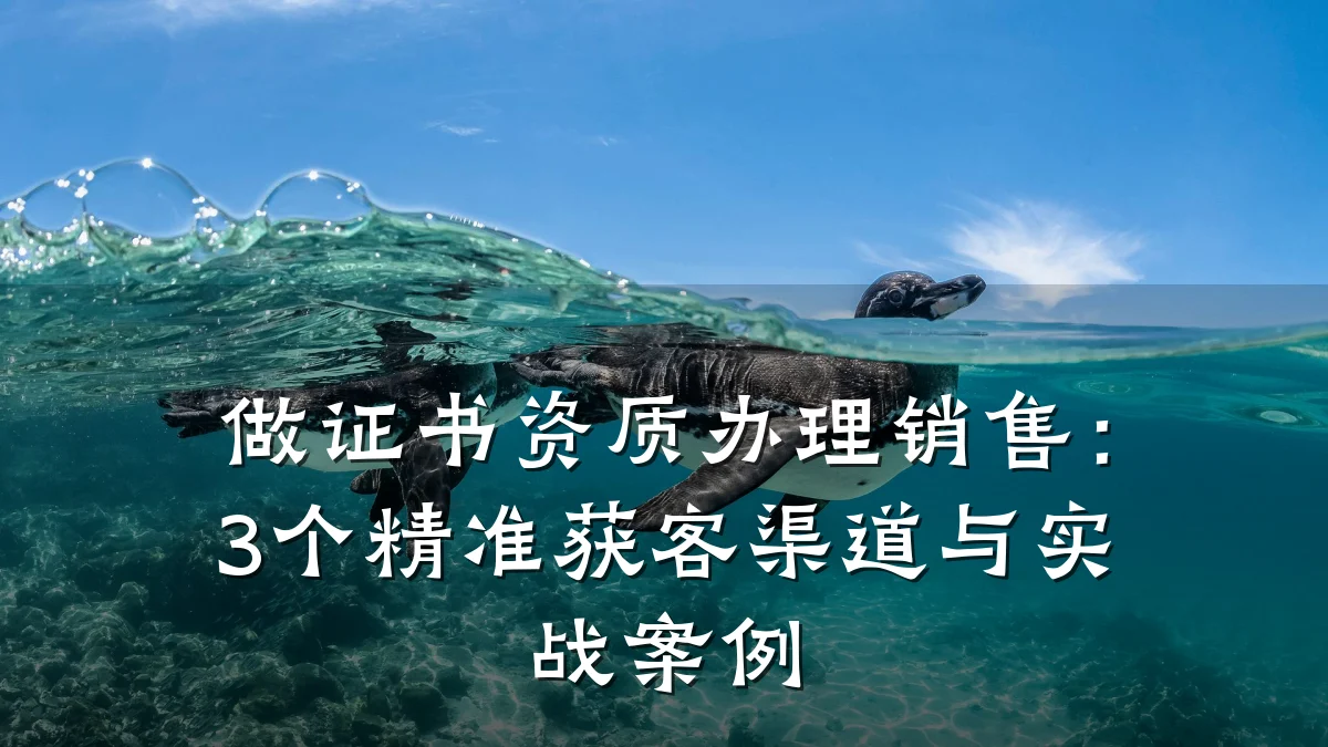 做证书资质办理销售:3个精准获客渠道与实战案例