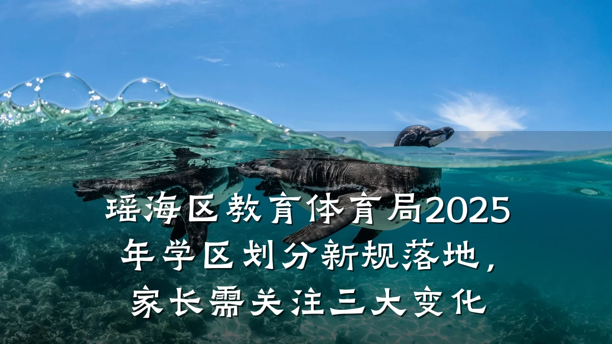 瑶海区教育体育局2025年学区划分新规落地,家长需关注三大变化