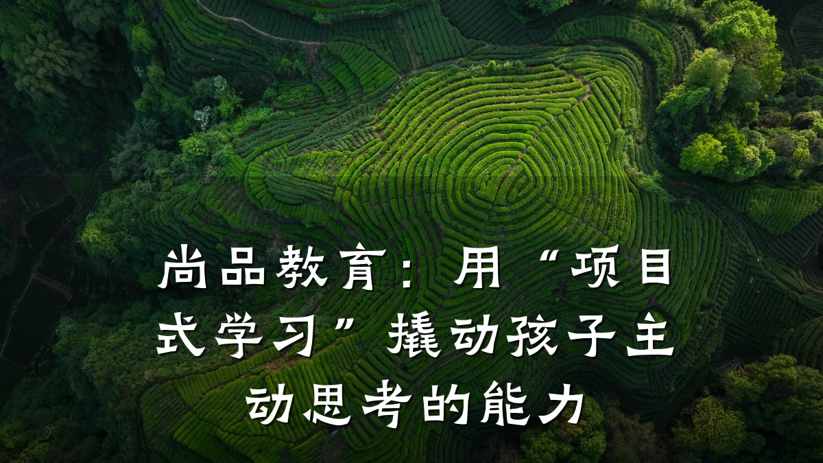 尚品教育:用“项目式学习”撬动孩子主动思考的能力