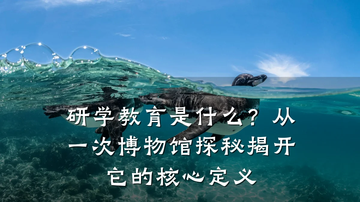 研学教育是什么?从一次博物馆探秘揭开它的核心定义