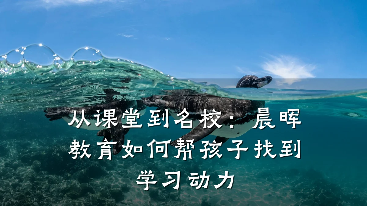 从课堂到名校:晨晖教育如何帮孩子找到学习动力