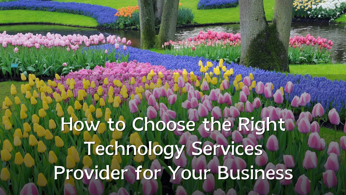 How to Choose the Right Technology Services Provider for Your Business