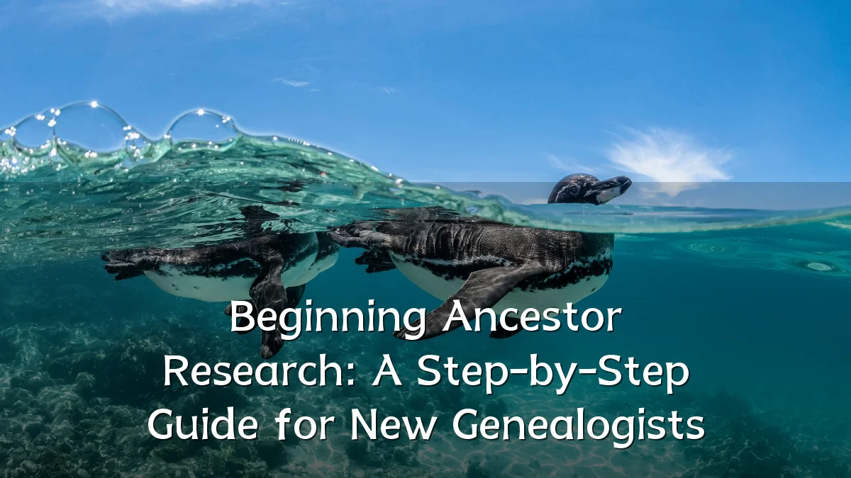 Beginning Ancestor Research: A Step-by-Step Guide for New Genealogists