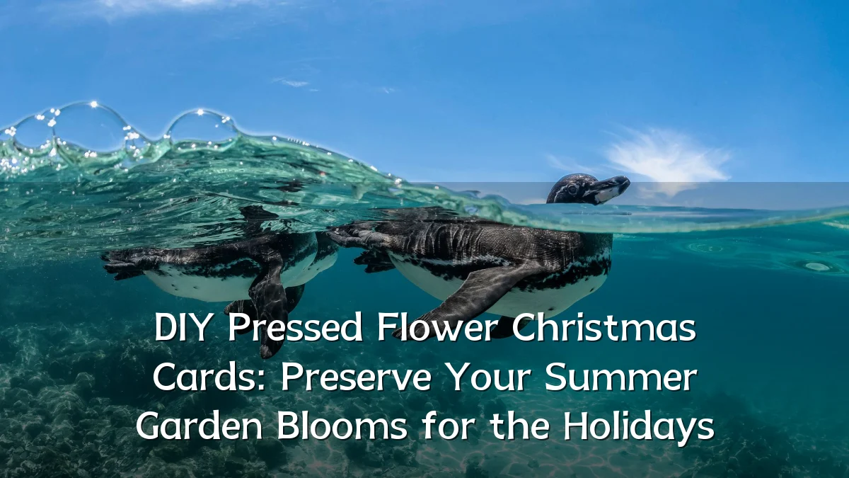 DIY Pressed Flower Christmas Cards: Preserve Your Summer Garden Blooms for the Holidays