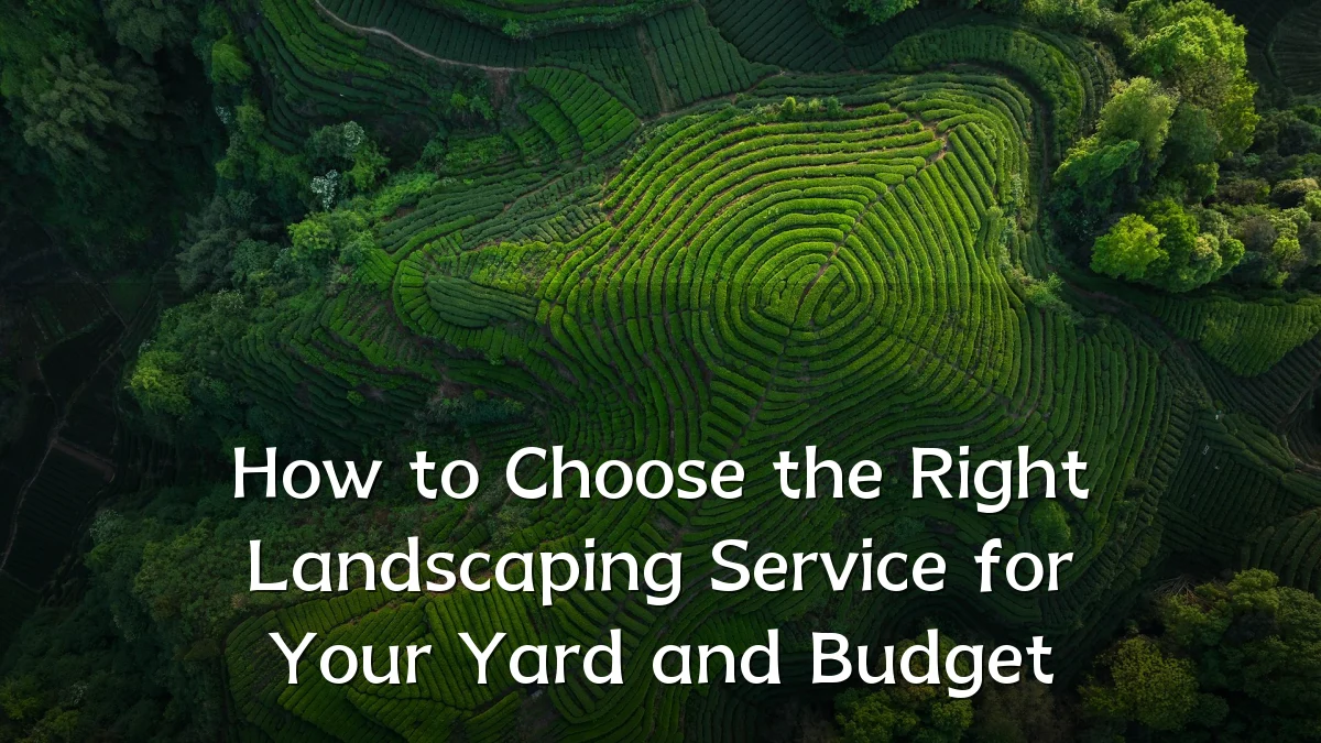 How to Choose the Right Landscaping Service for Your Yard and Budget