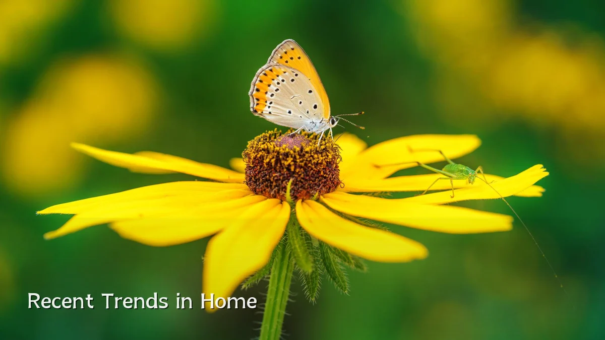 Recent Trends in Home